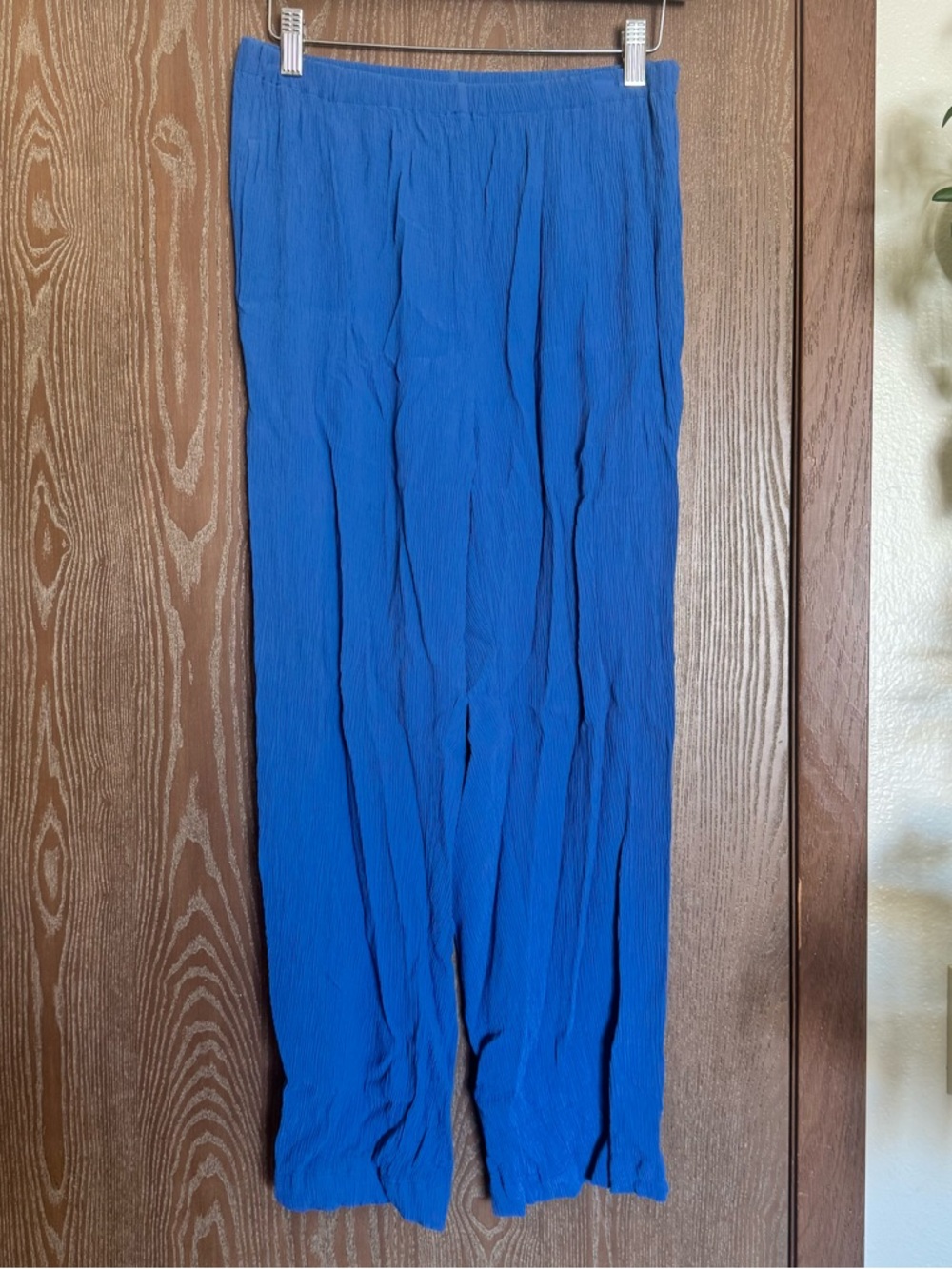Everlane Blue Crinkled Elastic Waist Pants